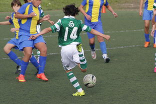 五大联赛半场调整成功引领逆转走势，五大联赛再次停摆