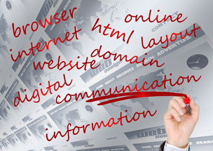 体育新闻中心聚焦体育企业品牌公信力内容打造工程，体育新闻公司